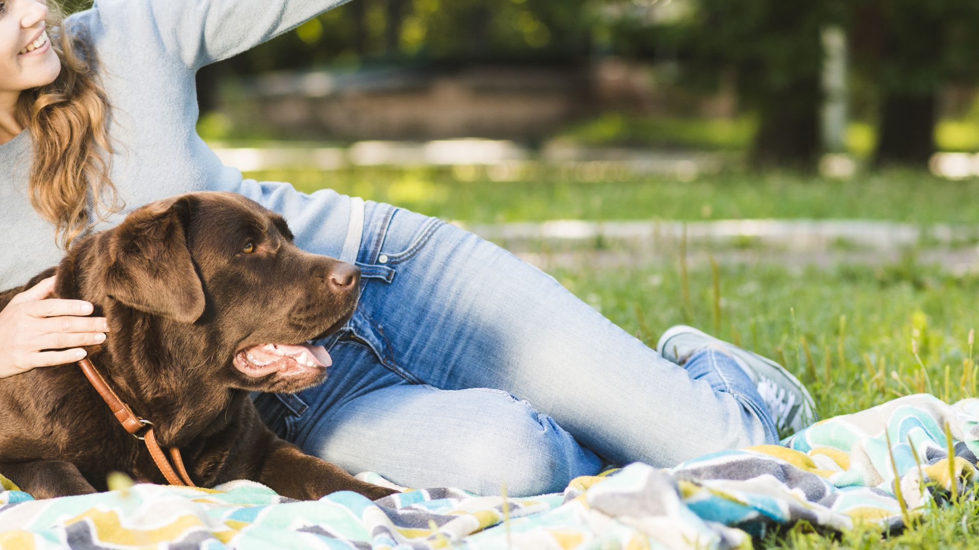 Dog Camp | Maple Tree Veterinary Hospital