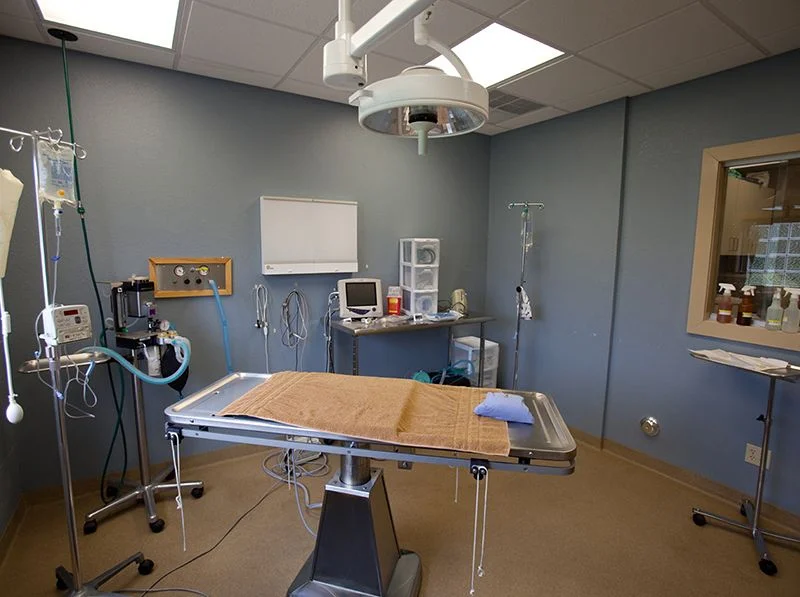 A hospital room with equipments